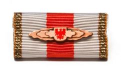 Leistungsabzeichen Technische Hilfeleistung des Landesfeuerwehrverbandes Brandenburg in Bronze