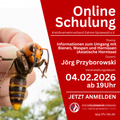 Online Schulung "Informationen zum Umgang mit Bienen, Wespen und Hornissen (Asiatische Hornisse) 